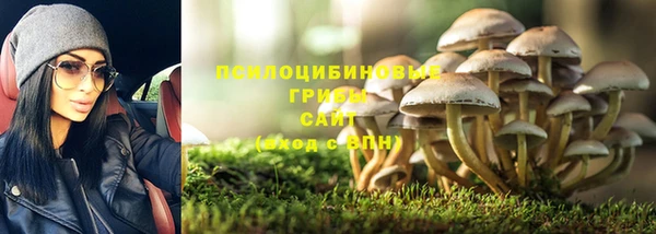 тгк Корсаков