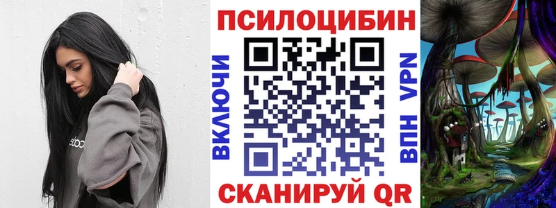 Галлюциногенные грибы Magic Shrooms  купить закладку  Чапаевск 