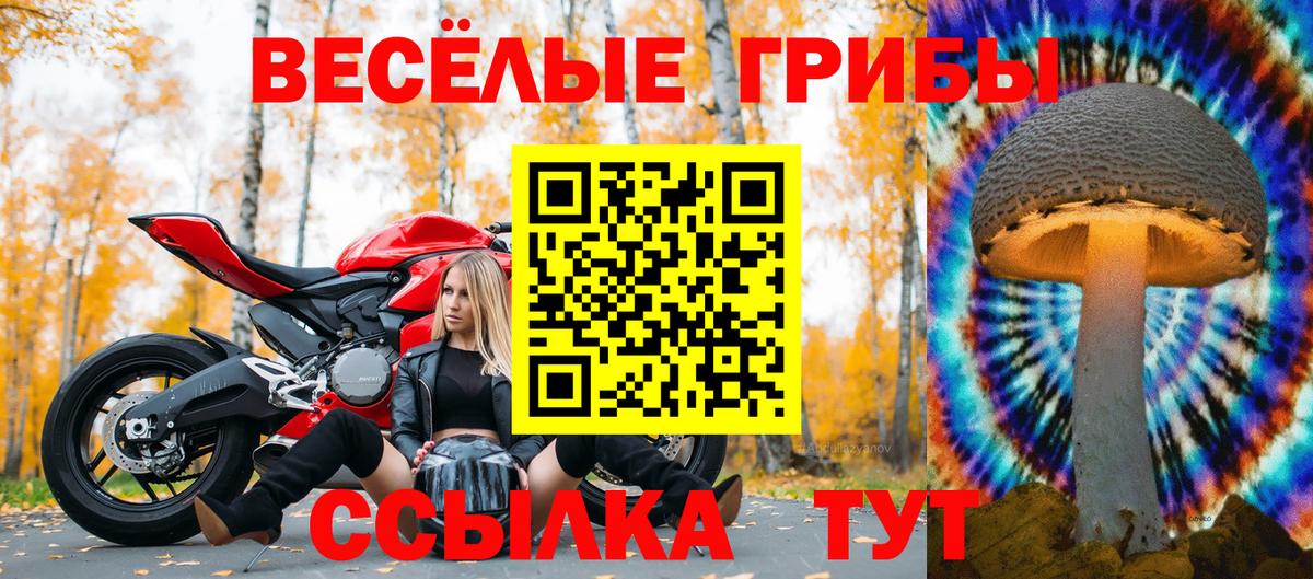 Псилоцибиновые грибы GOLDEN TEACHER Чапаевск