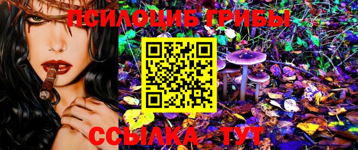 Псилоцибиновые грибы Psilocybe Чапаевск