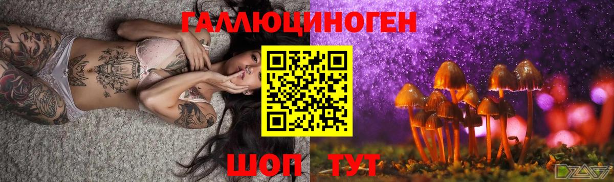 Псилоцибиновые грибы Psilocybe  купить закладку  Чапаевск  Вход с VPN 
