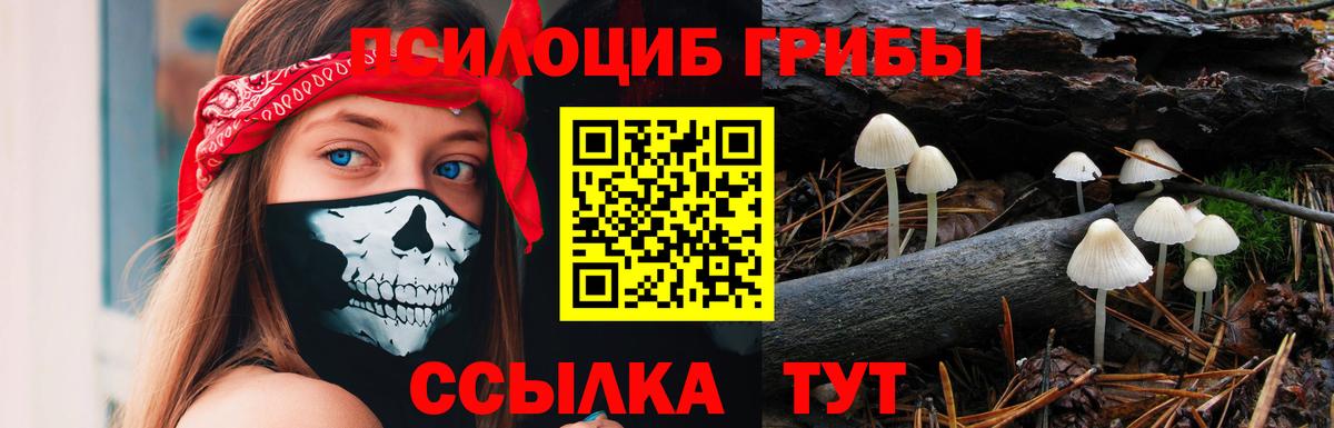 Псилоцибиновые грибы мухоморы  Чапаевск 
